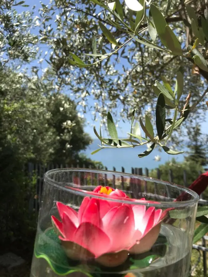 Hotel Sunset Gl Vlorë Albanien